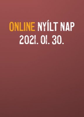 online-nyiltnap-20210130